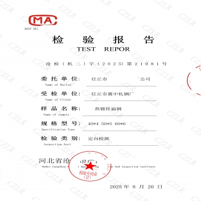 本厂第三方抽检检测报告